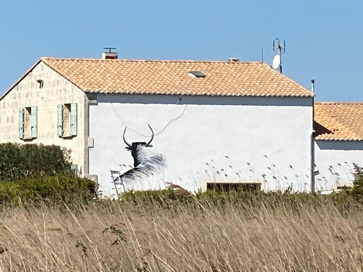 Gites Equestres Lou Caloun - Les Saintes Maries De La Mer Exterior foto