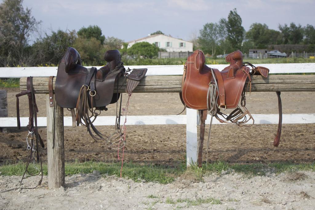 Gites Equestres Lou Caloun - Les Saintes Maries De La Mer Exterior foto