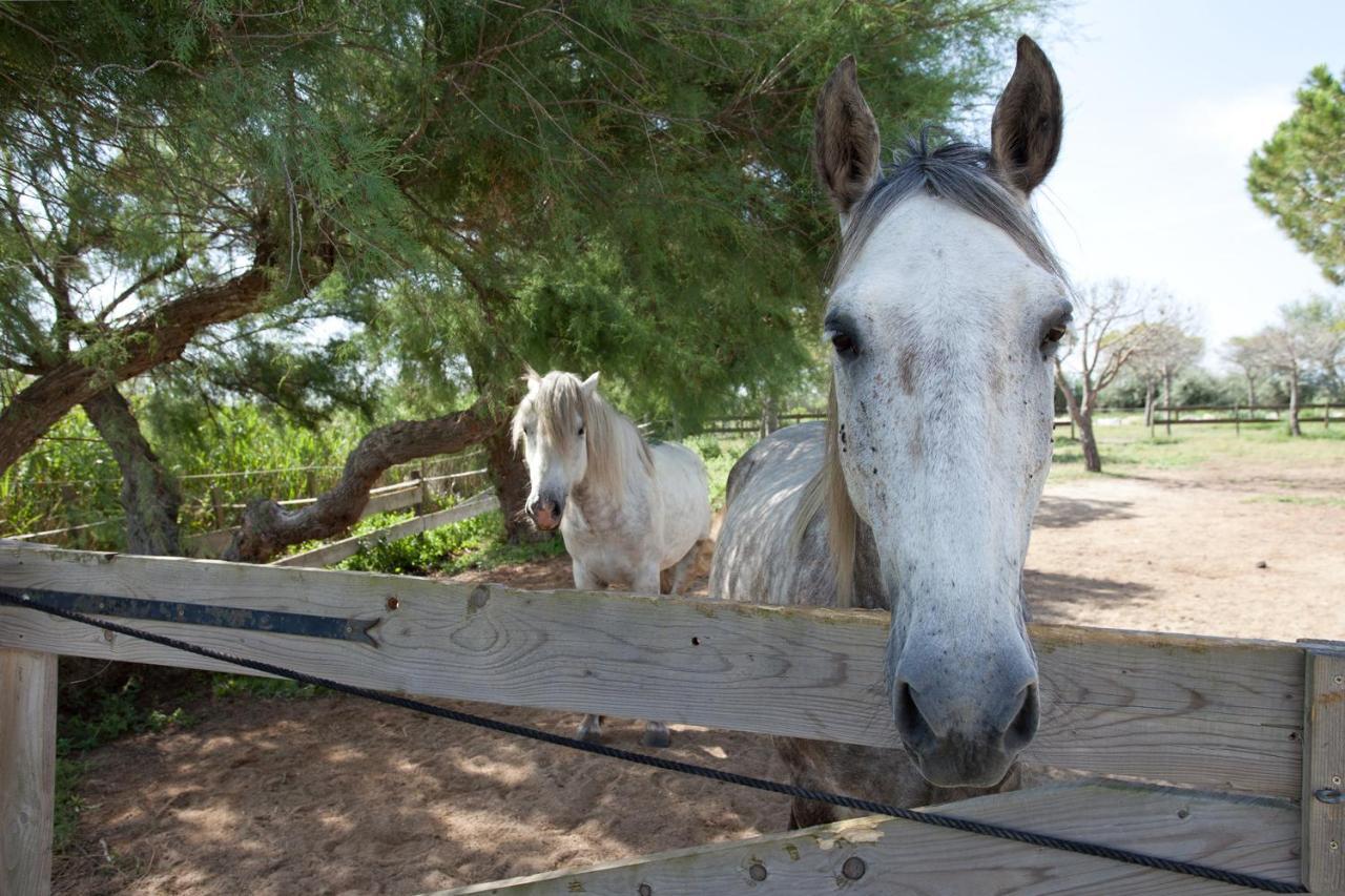 Gites Equestres Lou Caloun - Les Saintes Maries De La Mer Exterior foto